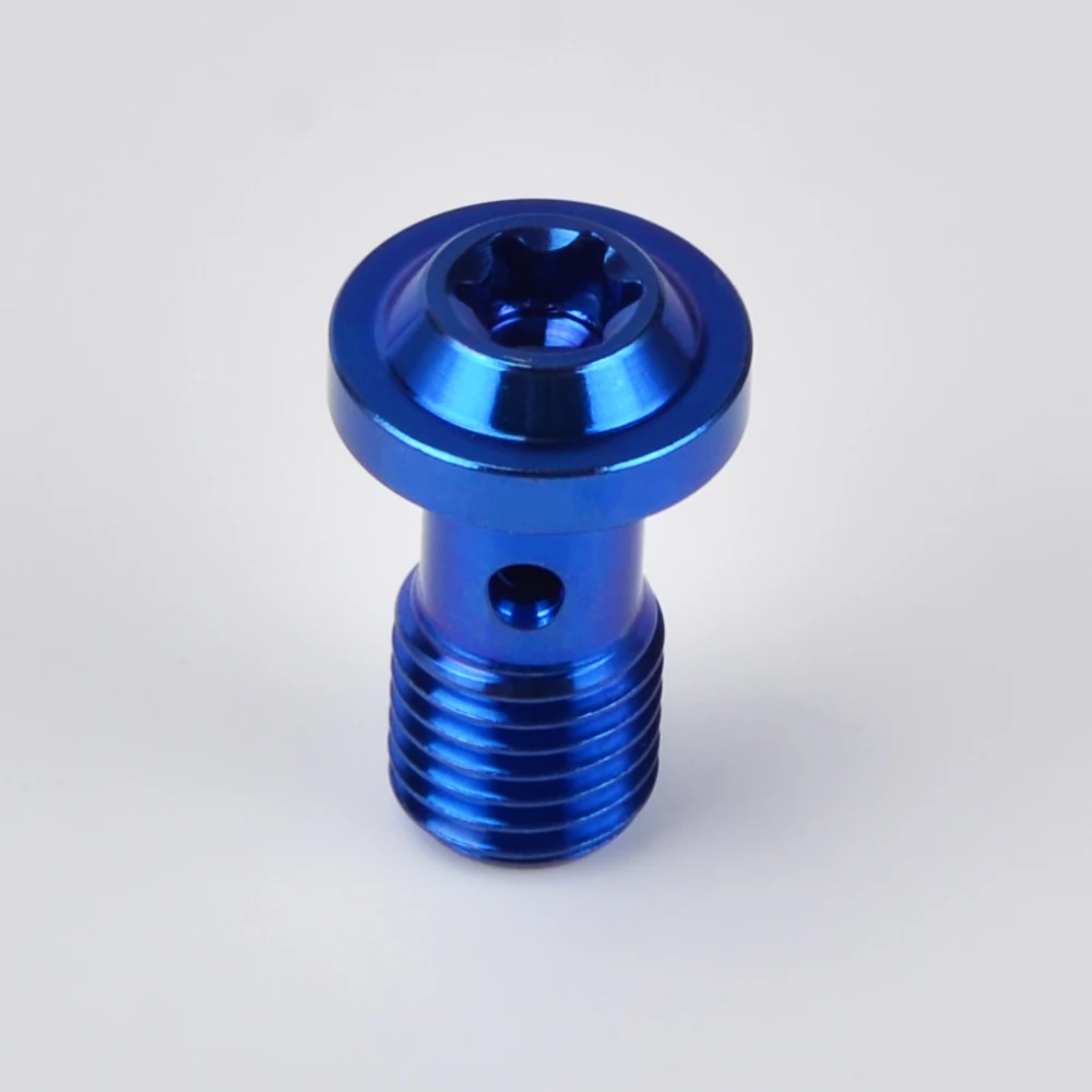 T40 Flange Head Titanium Bolt Titanium Alloy M10X1.25X19 Gold Blue Titanium for KTM Honda ect universal Motorcycle Accessories - Название цвета: 2pc