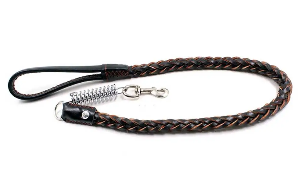 11 Collars, Harnesses & Leads