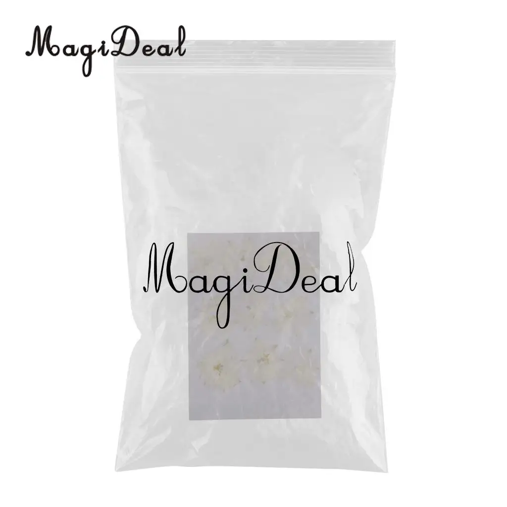10 / 20Pcs Beautiful Real Pressed Rose Petal Babysbreath Flowers Dried Flowers for Art Craft Scrapbooking DIY Resin Jewelry