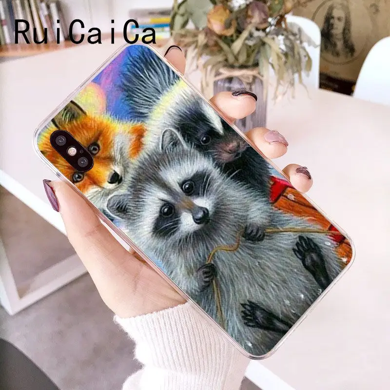 Animal Raccoon Fox
