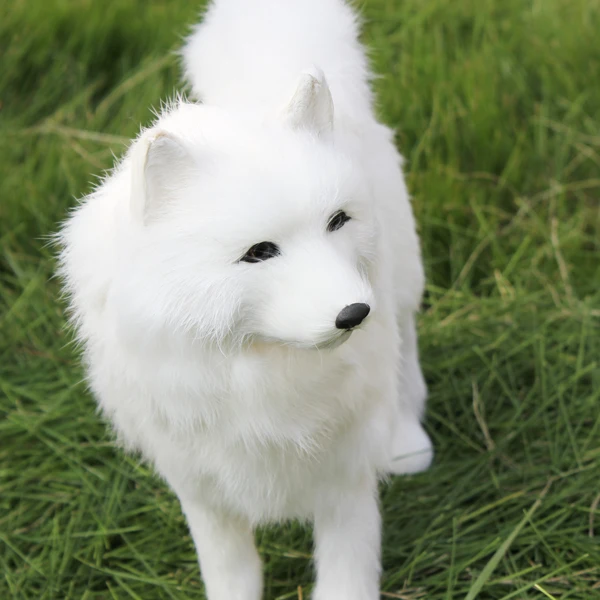 white husky plush