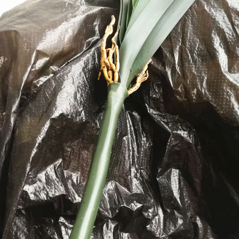 6 шт. пластиковые пучок листьев орхидеи искусственные 7 листьев Cymbidium зеленые растения 60 см для орхидеи декоративные части цветка