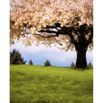 

Spring blooming tree background photo backdrops for kids photo studio photography wonderland photography background F-1289