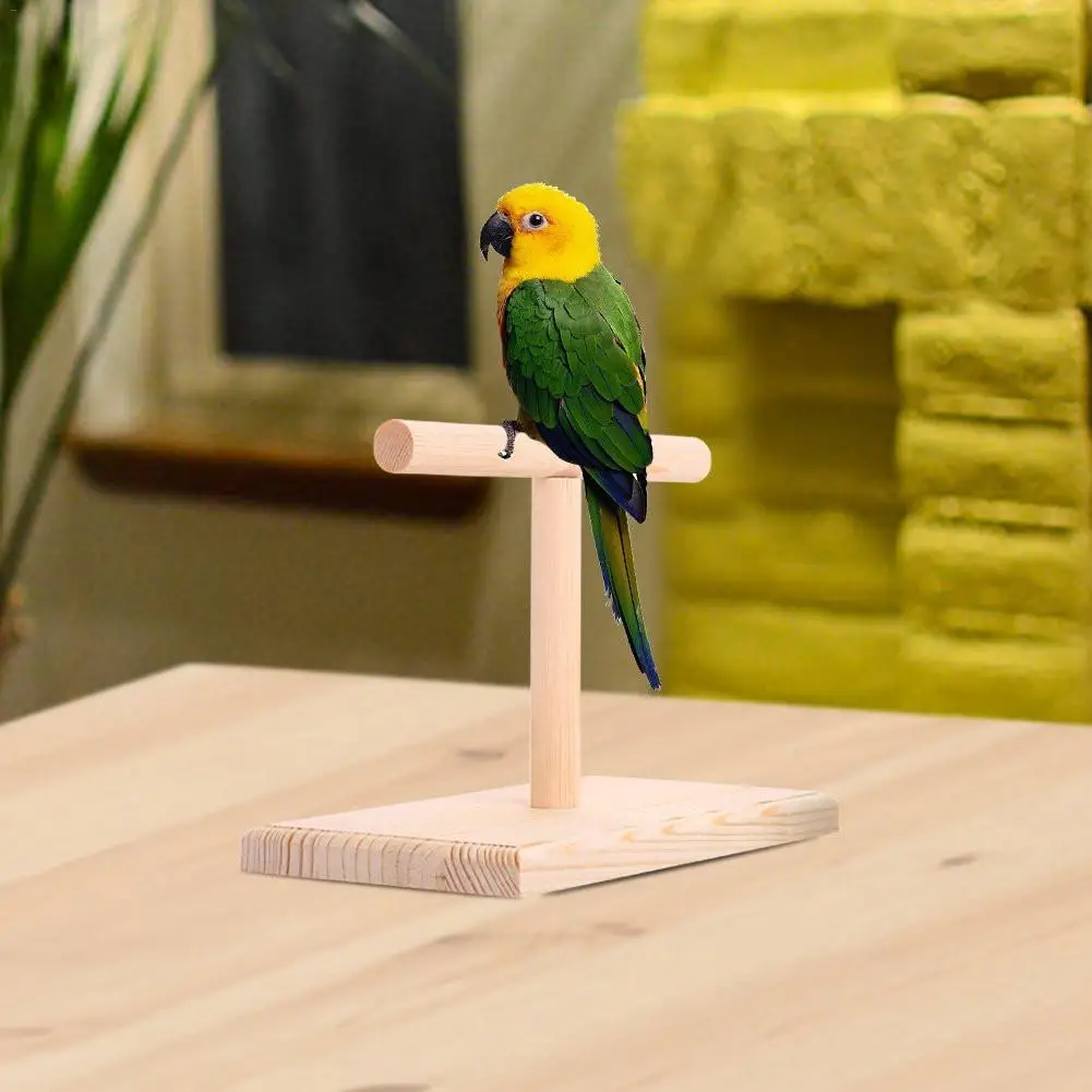 Попугай птица играть в игры игрушка офисная птица деревянная подставка укуса игрушка пружинная доска