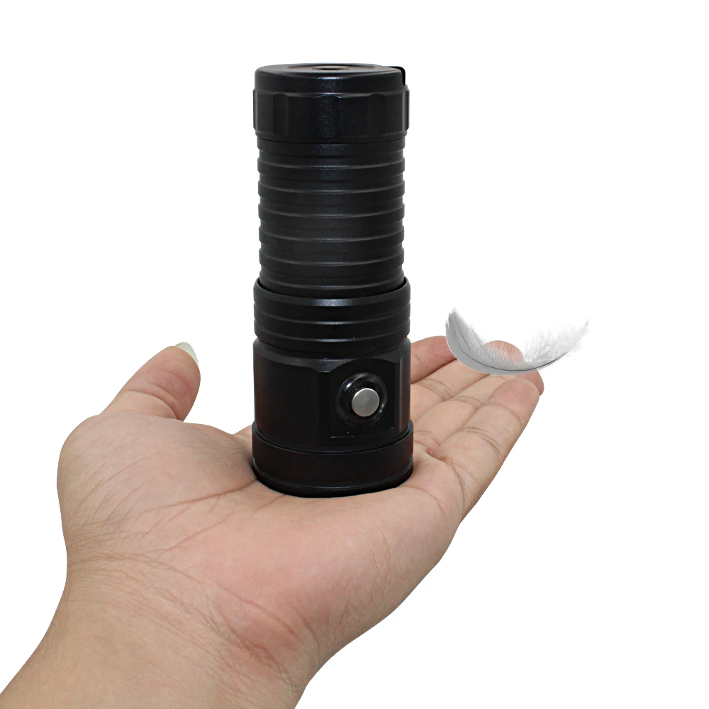 underwater video light (3)