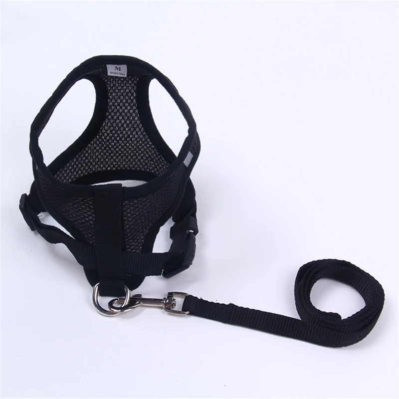 8 dogs collars and harnesses 