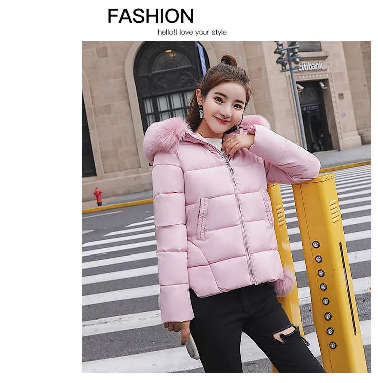 Cotton (20).jpg