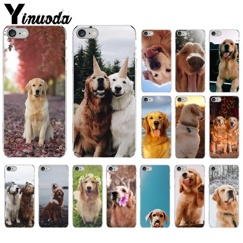 

Yinuoda Pet dog labrador Transparent TPU Soft Phone Cover for Apple iPhone 8 7 6 6S Plus X XS MAX 5 5S SE XR Mobile Cases
