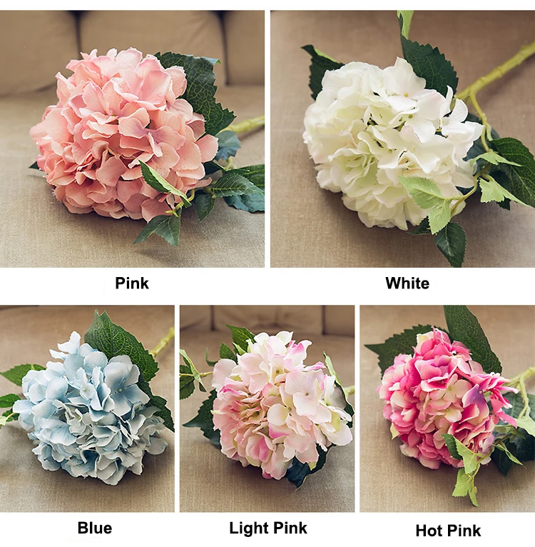 04 Product Color