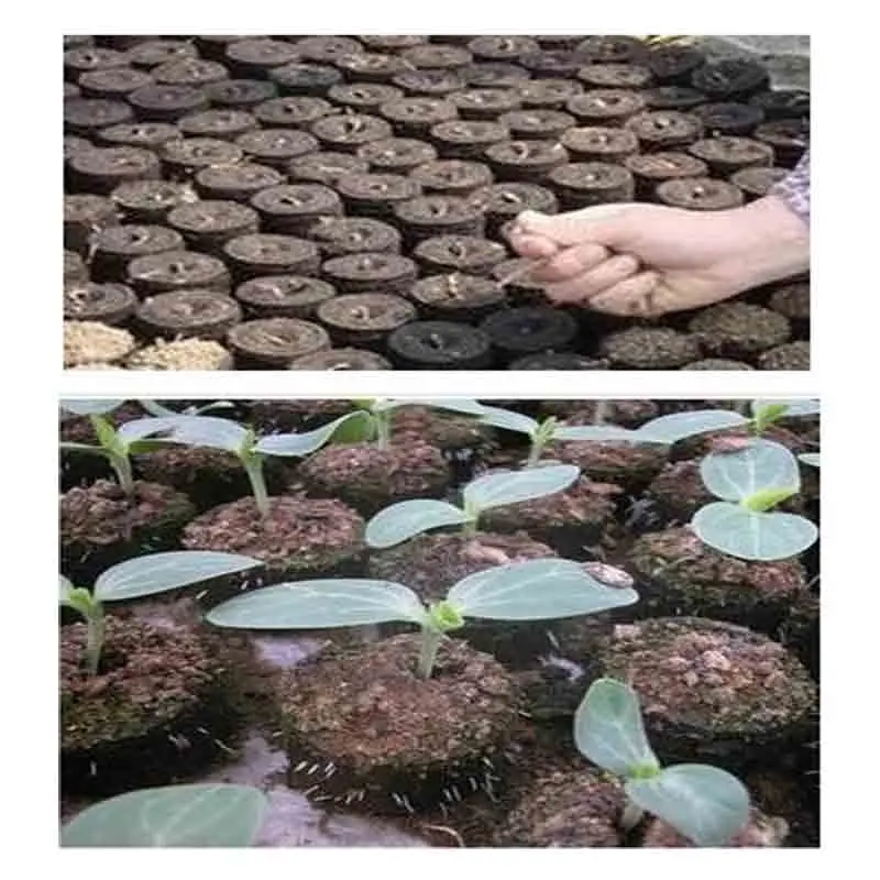 Seedlings Peat Pellets Seed Starter Compost Soil Block 30mm Garden-tools Propagator Plants Tools Hydroponics System To Grow Bags