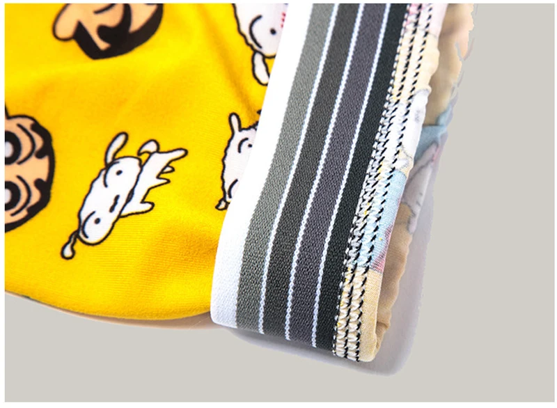 3769806386_907591519