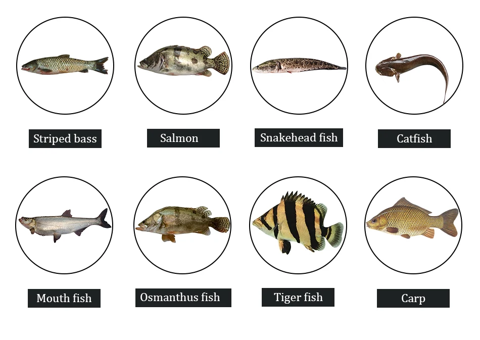 Thkfish 19 г бас рыболовные Джиги смешанные цвета резиновая приманка с юбкой плавать Базз металл свинец джиг головки VMC Крючки юбка Мормышка, приманки для рыбалки