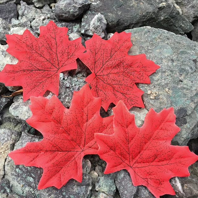 6000+ Gambar Daun Warna Warni HD Terbaru 6000+ Gambar Daun Warna Warni HD Terbaru