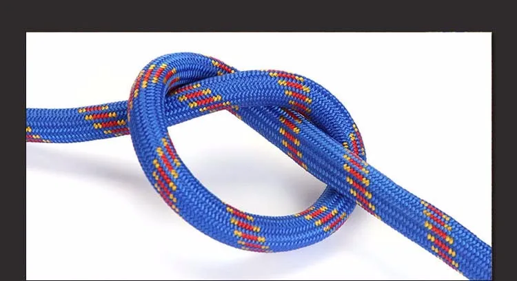 1713073499_10066361