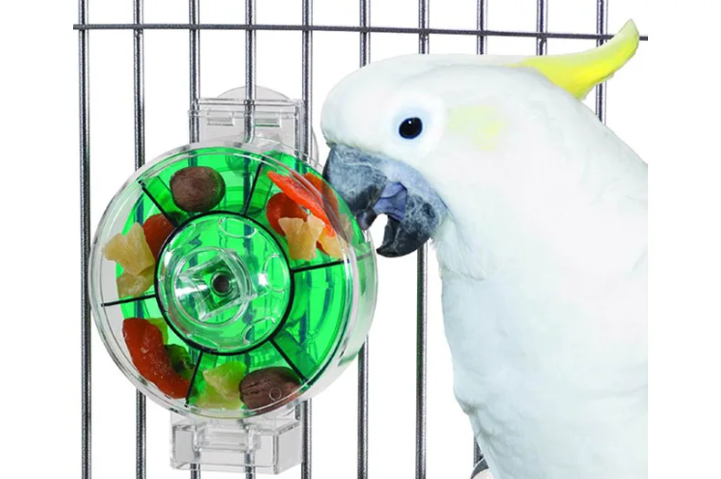 CAITEC игрушки попугай большое колесо для кормушки жесткое прочное устойчивое к укусам подходит для средних или больших попугаев Классические игрушки для птиц