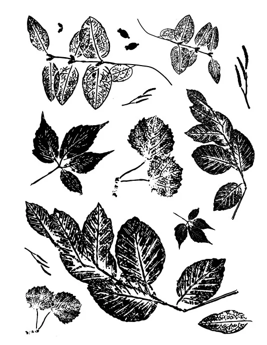 

Leaf Transparent Clear Stamps for DIY Scrapbooking/Card Making/Kids Christmas Fun Decoration Supplies