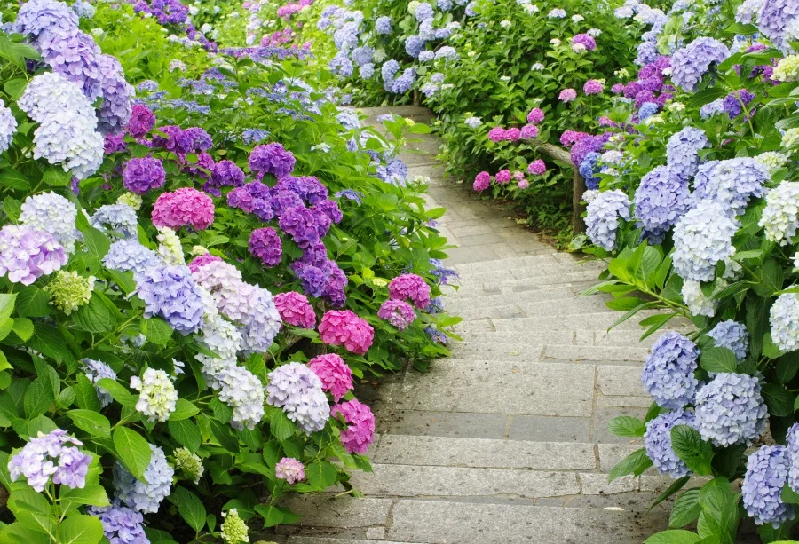 

Laeacco Spring Garden Flowers Scenic Photography Background Customized Photographic Backdrops For Photo Studio