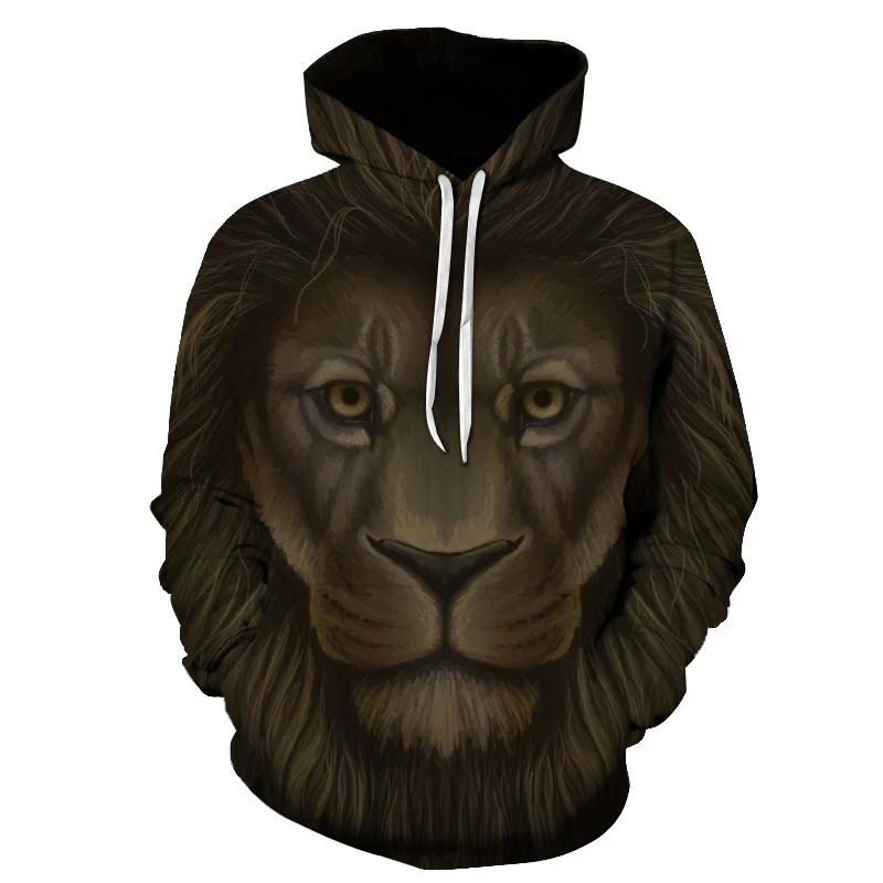 

New Casual Hoodie 3D Prairie Lion Print Long Sleeve Loose Sweatshirt 2019 Spring & Winter Fashion Men's Pullover