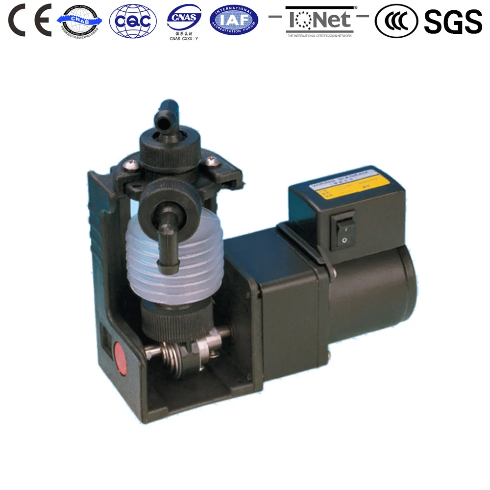 Chemical Metering Water pump DS-2PU2 220V AC Quantitative replenishment of Additive CE Approved Dosing pumps Chemical Metering Water pump DS-2PU2 220V AC Quantitative replenishment of Additive CE Approved Dosing pumps