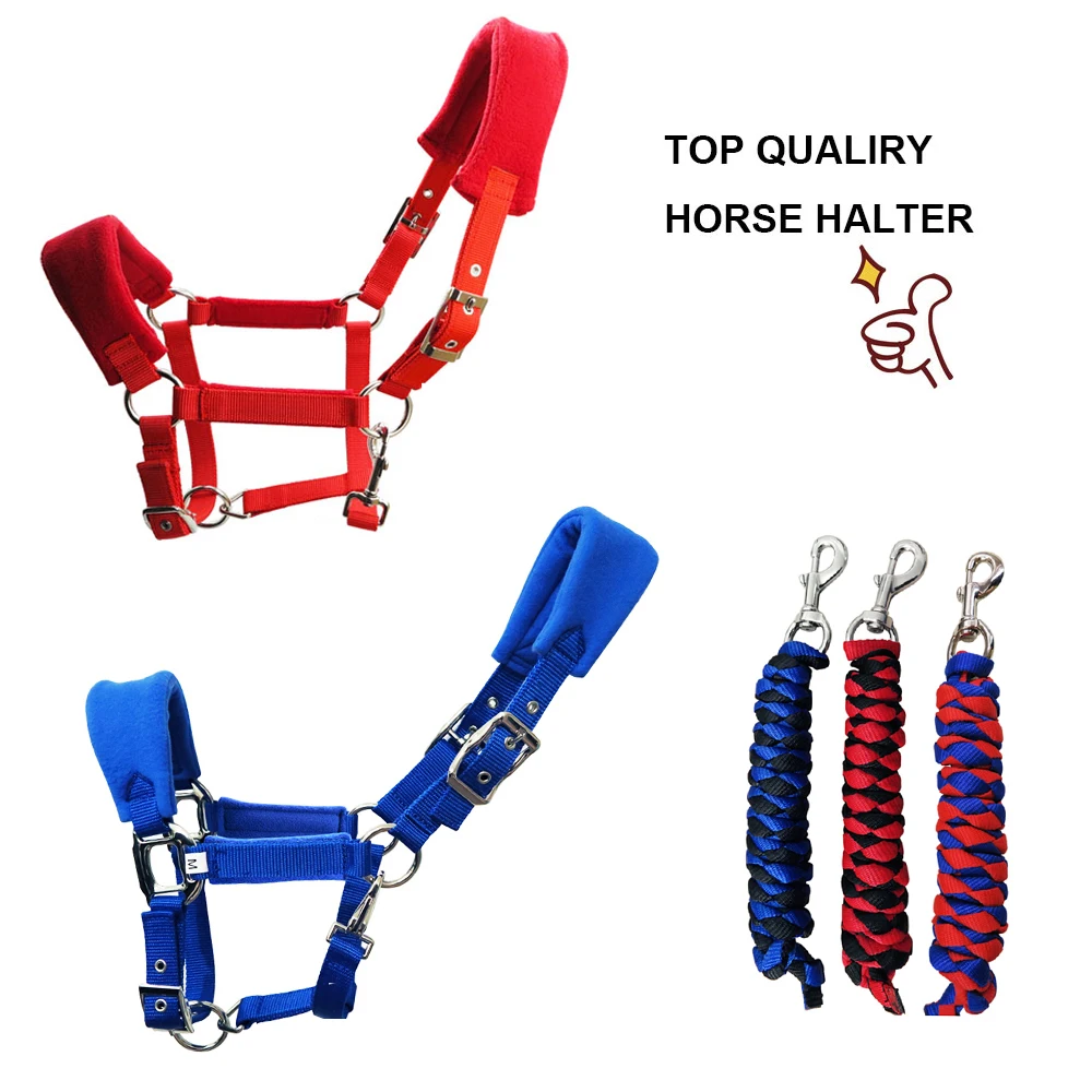 جودة عالية الحصان الرسن الحصان الفروسية اللجام الرائدة شيفال معدات ركوب الخيل سباق paardensport a جودة عالية الحصان الرسن الحصان الفروسية اللجام الرائدة شيفال معدات ركوب الخيل سباق paardensport a