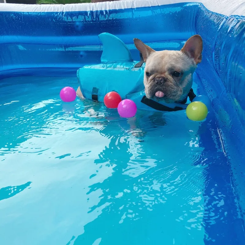 Shark Dog Life Jacket Safety Swimwear Dog Clothes Pet Life Vest Summer Dog Swimming Clothing French Bulldog Pug Jacket  13