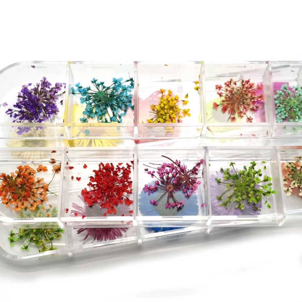 Смешанные Натуральные сушеные цветы для ногтей 3D прессованные цветы настоящие консервированные Цветочные сушеные наклейки с цветами украшения для ногтей