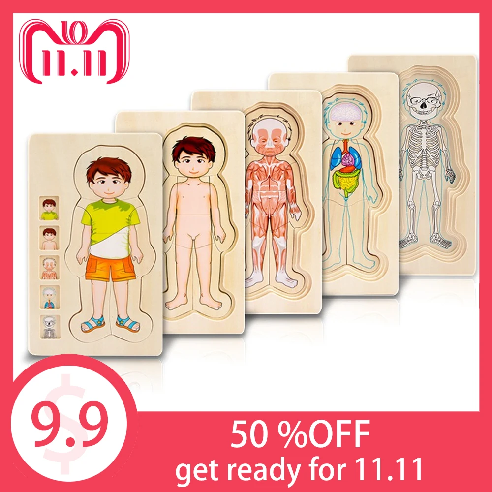 

Onshine Wooden Multi-layer Puzzle Toys Boys Girls Body Structure Children Kids Learning Cognition Toys