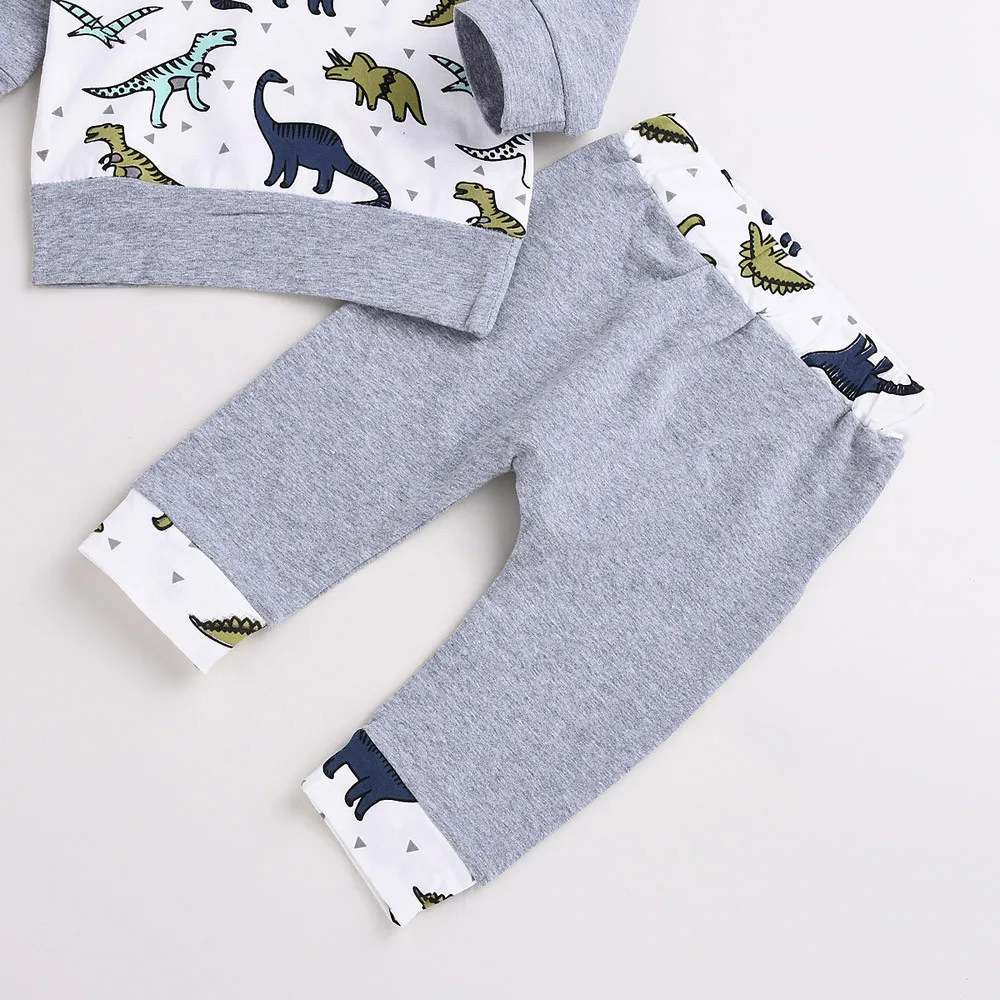 Одежда для маленьких мальчиков и девочек, топы с капюшоном и рисунком динозавра, пуловер, штаны, комплект одежды, roupa infantil ropa bebe