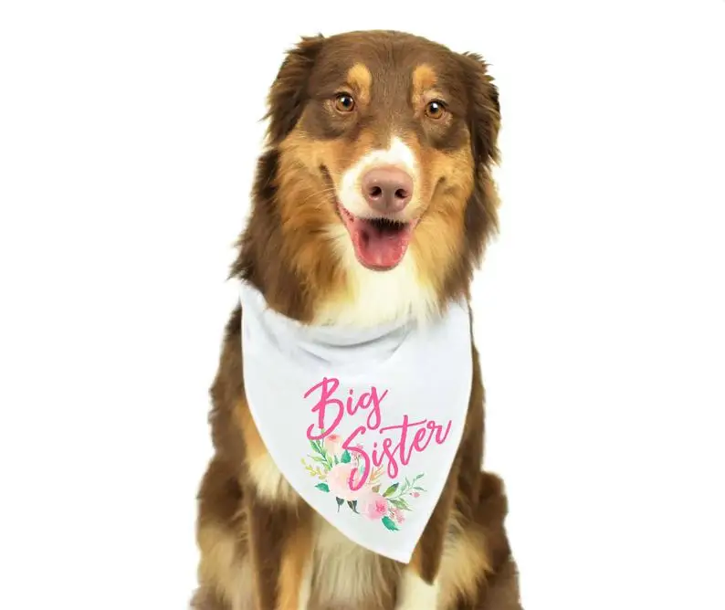 

Personalize Big Sister Dog Bandana, Best Dog New Baby Reveal,Dog Pregnancy Announcement, New Baby Announcement bandanas