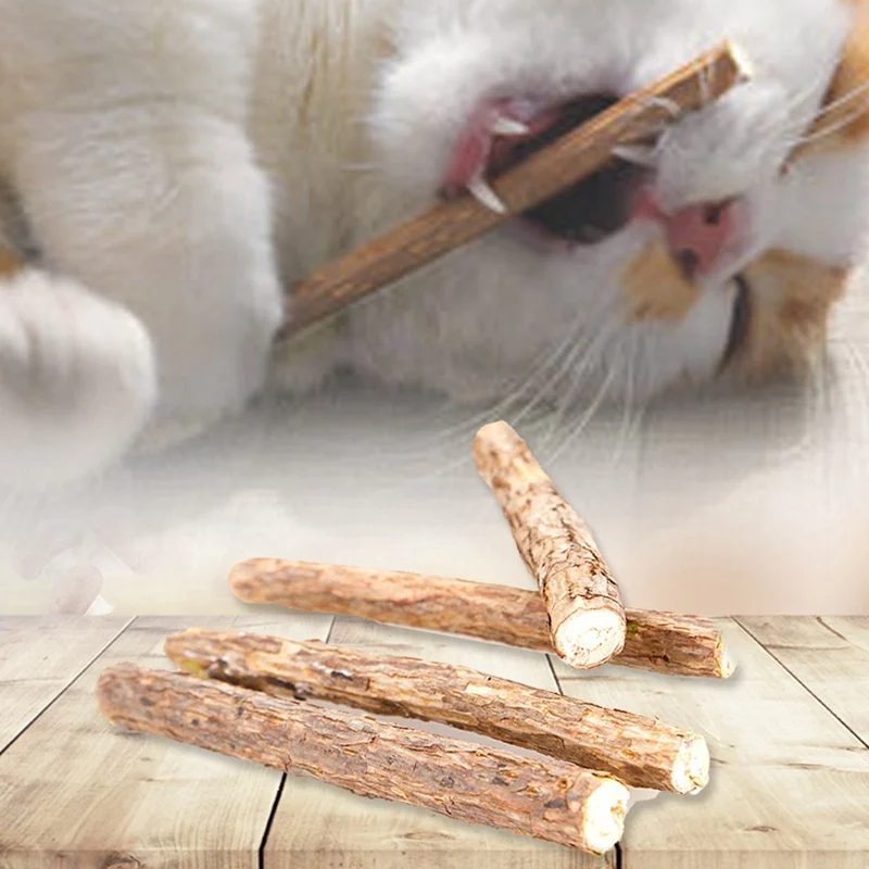 Cat Clean Teeth Pure Natural Pet Molar Toothpaste Stick Silvervine Cat Sticks Branch Cleaning Teeth