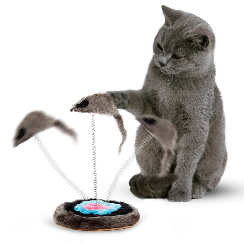 self play cat toys