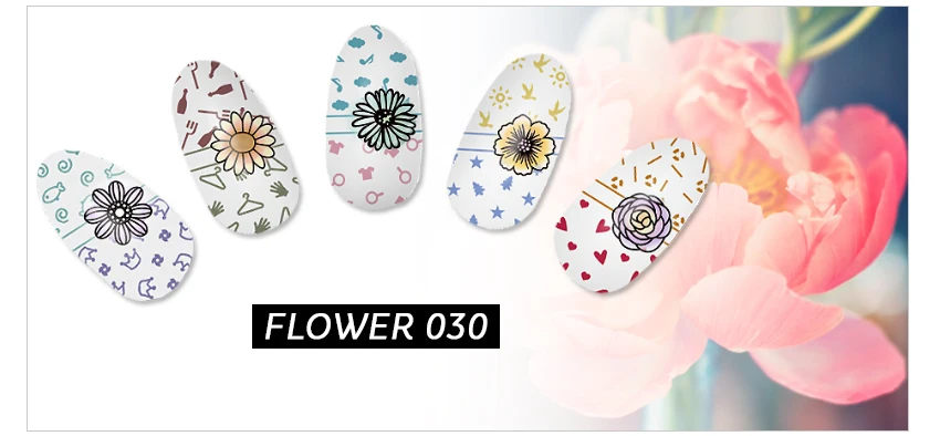 KADS-FLOWER-030_06