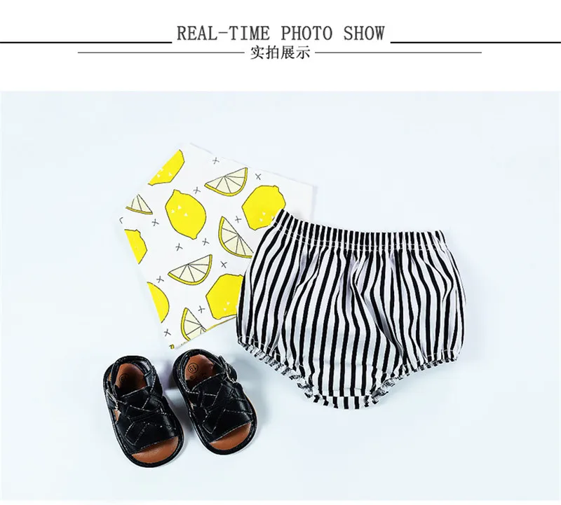 3775885381_528200829