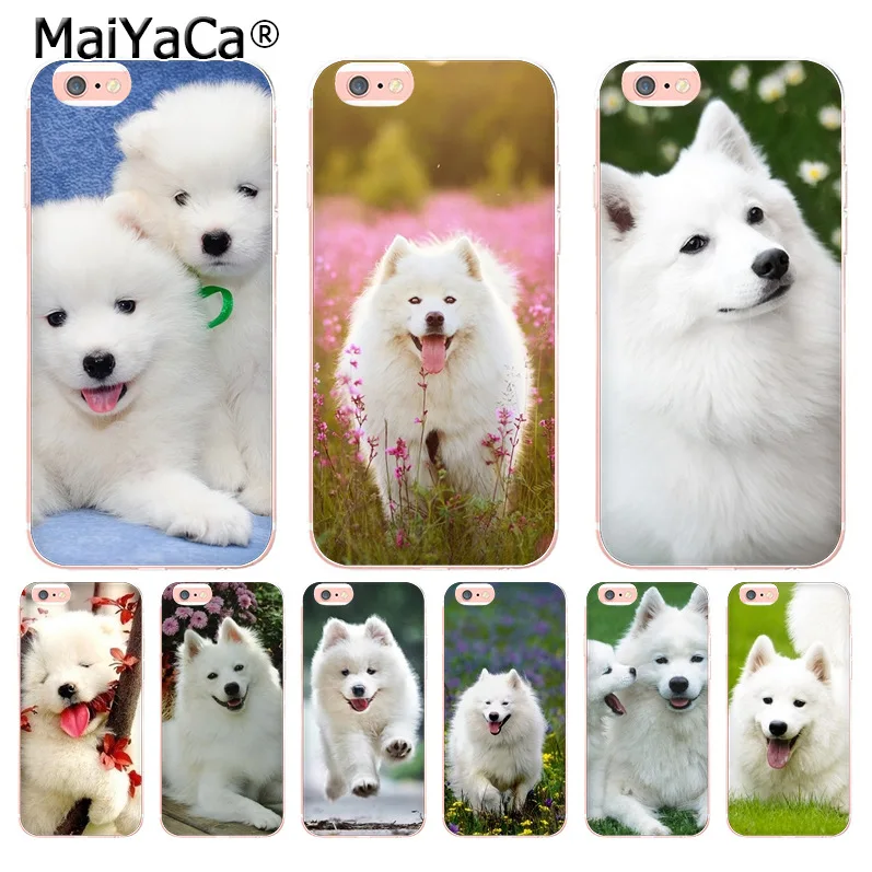 

MaiYaCa lovely Samoyed dog Transparent Cover Case for iphone 11 Pro XR XS Max 8 7 6 6S Plus X 10 5 5S SE Coque XS XR XSMAX