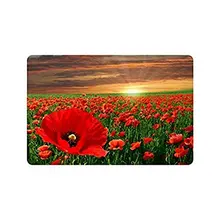 Красивая Красный мак Цветочный принт спереди двери коврик коралловый флис 40x60 см Коврик для наружного и внутреннего Добро пожаловать