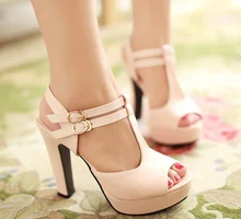 Newest Women Pumps Open Toe Sexy Ankle Straps Sandals Boots High Heels Summer Ladies Thick Heels Shoes