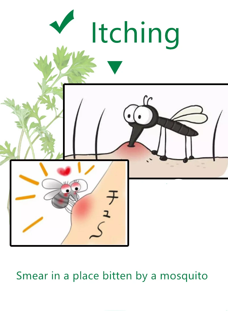 Твердый эссенция крем бактериологический прохладный освежающий против комаров укуса паста прохладное масло экстракция листьев и антибактериальная активность