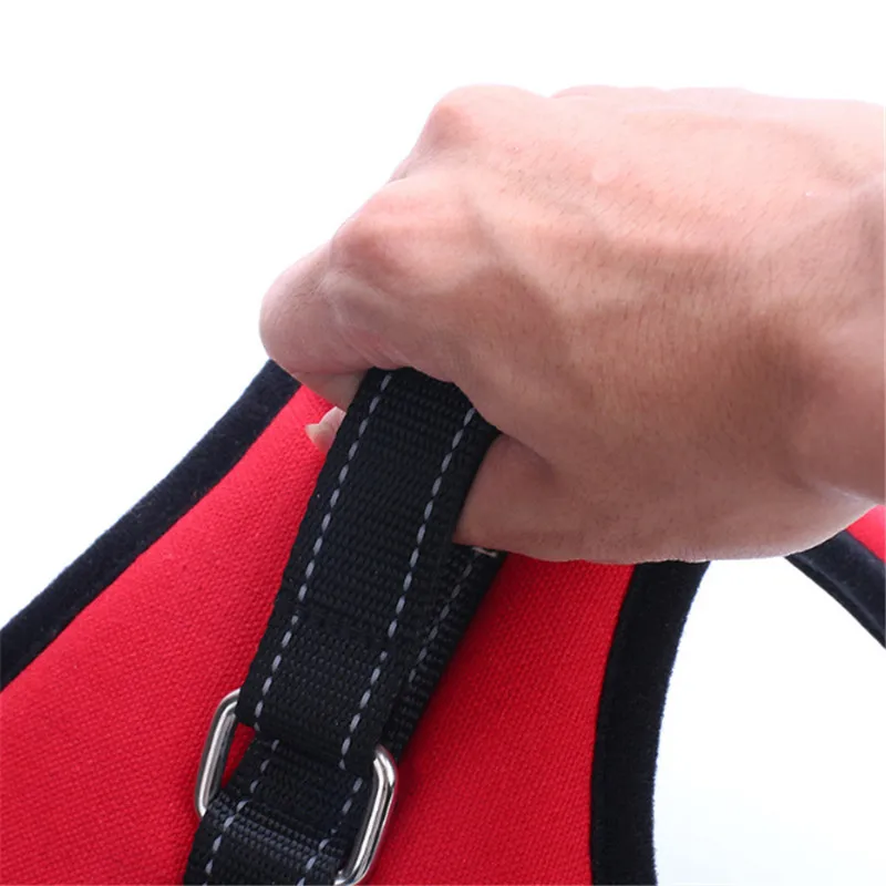 ]1F5MWR$MZI0XDXHZBR08ZN