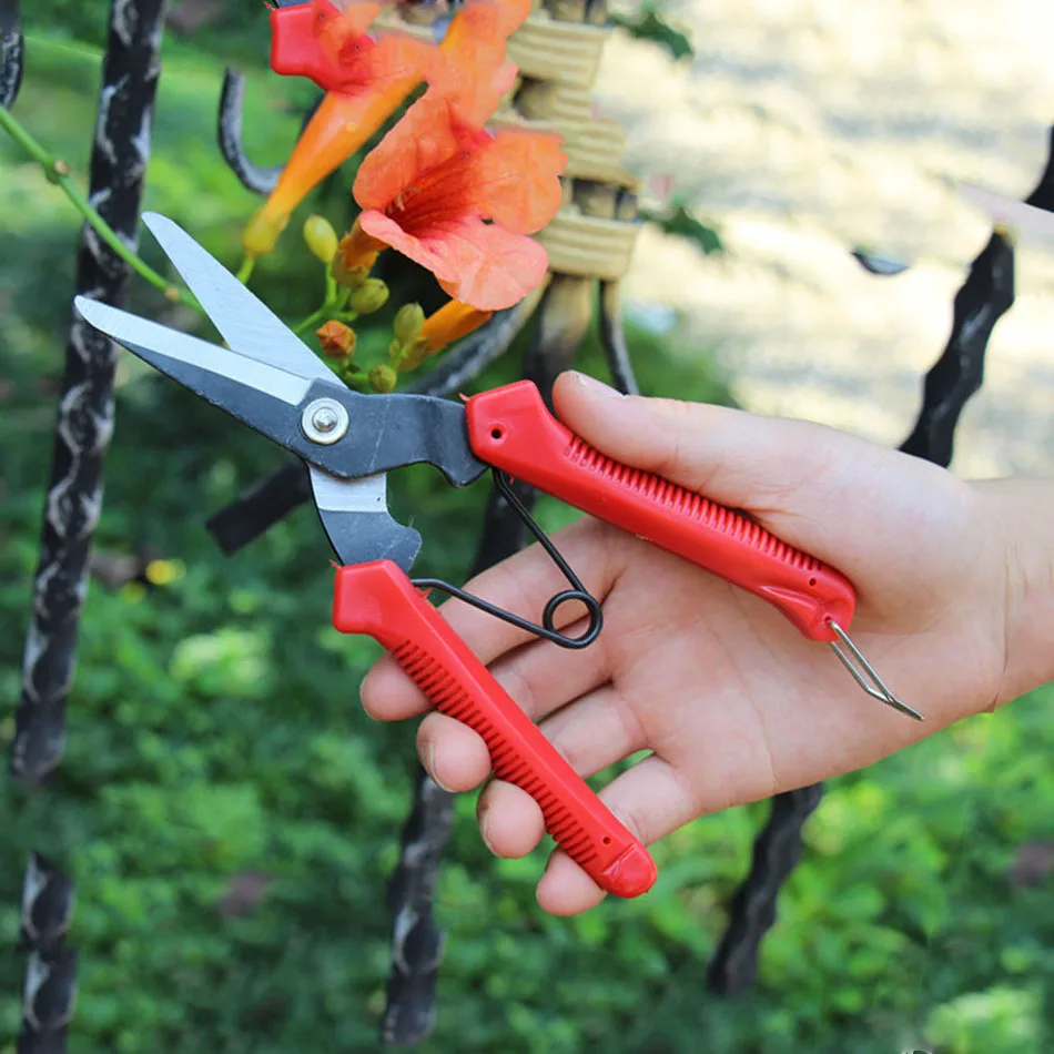 

ZJCOSTOL Garden Pruning Shears Fruit Picking Scissors Household Potted Trim Branches Straight Scissors Gardening Tools Garden