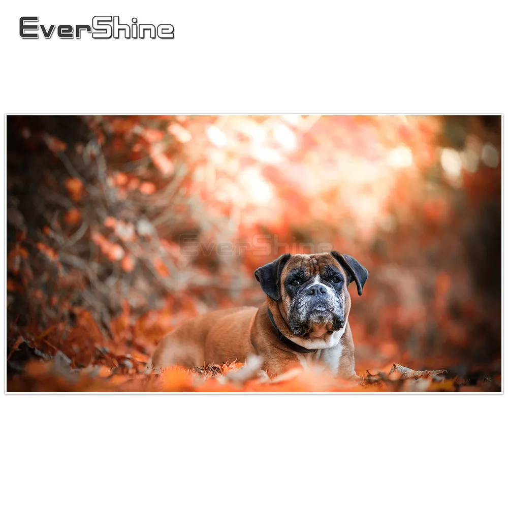 

EverShine 5D Diamond Painting Full Round Dog Pictures Of Rhinestones DIY Diamond Embroidery Cross Stitch Autumn Home Decoration