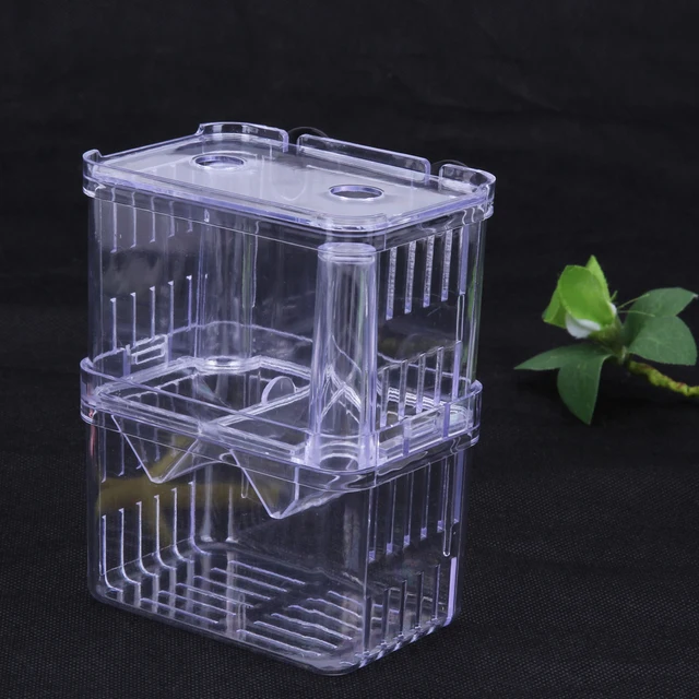 acrylic fish tank aquarium