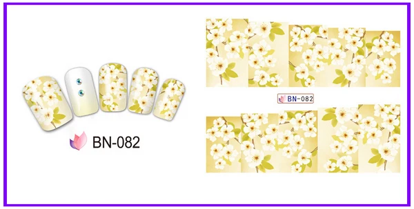 BN-082