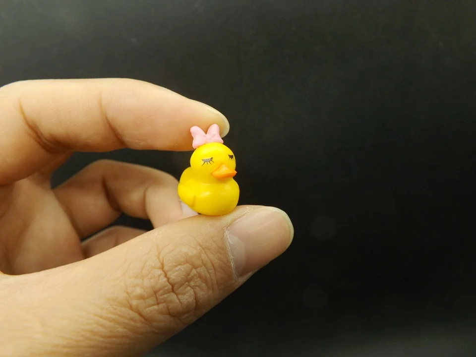 Tiny-A127-Duck (3)