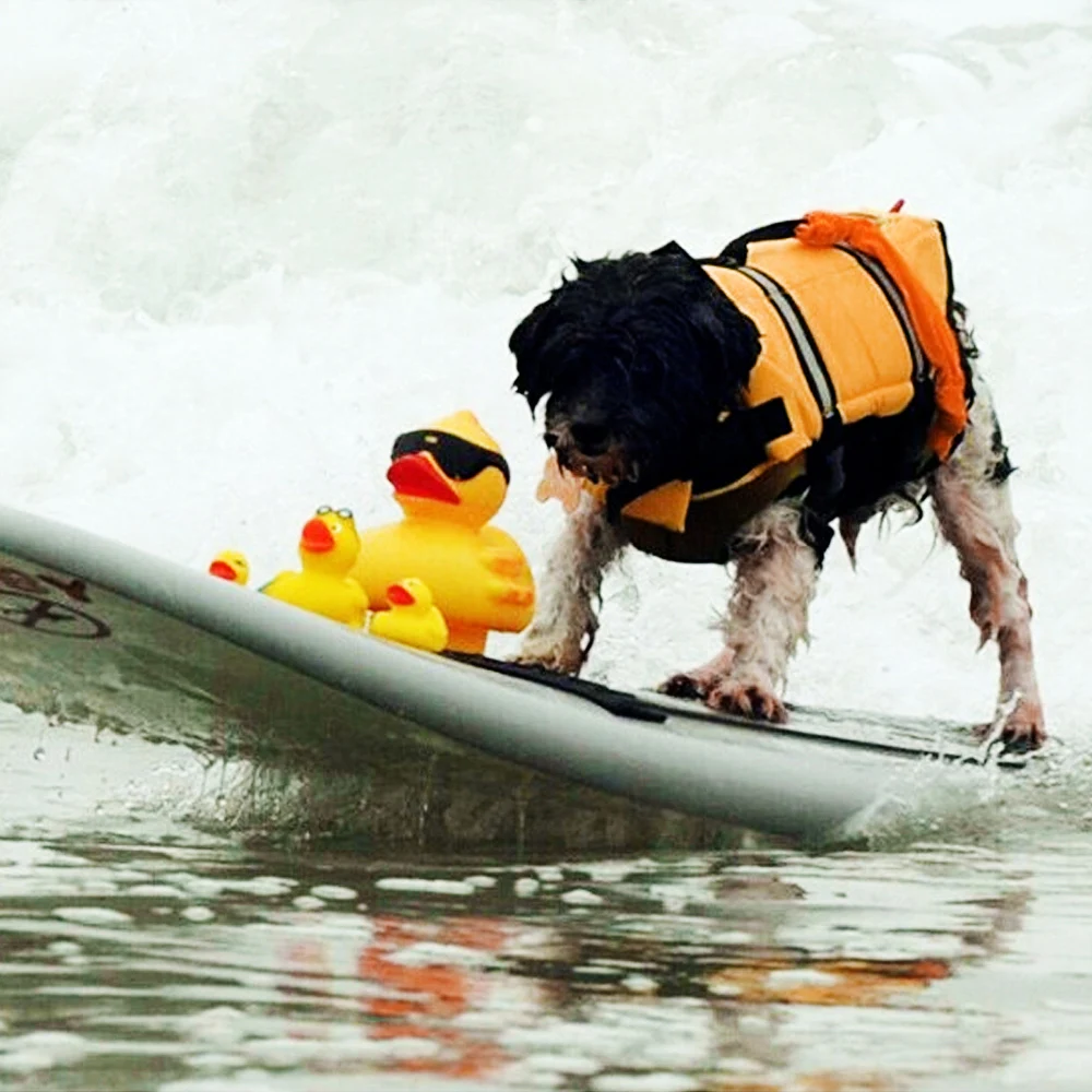 Спасательная одежда для плавания, спасательный жилет для щенков, одежда для плавания, костюм для XS-XL на открытом воздухе, поплавок для собак, спасательный жилет для собак