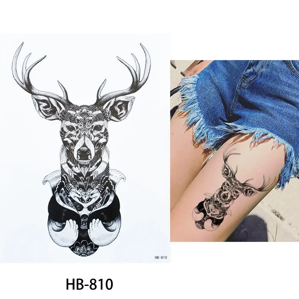 HB-810