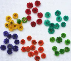 250 шт. нажатии сушеные anaphalis цветок сухие растения для эпоксидной смолы кулон Цепочки и ожерелья изготовления ювелирных изделий Craft DIY