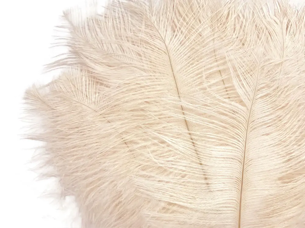 ivory ostrich feathers wholesale