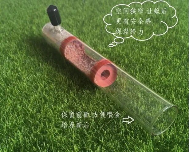 bamboo-ant-nest (7)