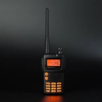 Walkie Talkie