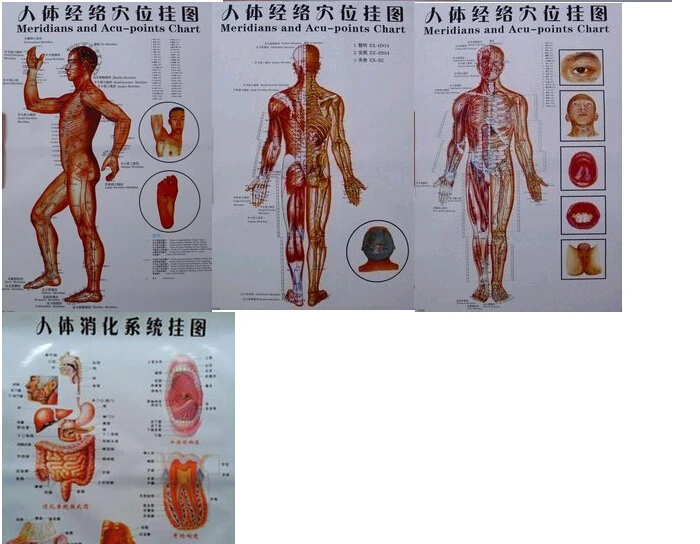 10 шт. скалывание здоровье человека Акупунктура настенная диаграмма ноги рука голова уха Акупунктура Меридиан диаграмма